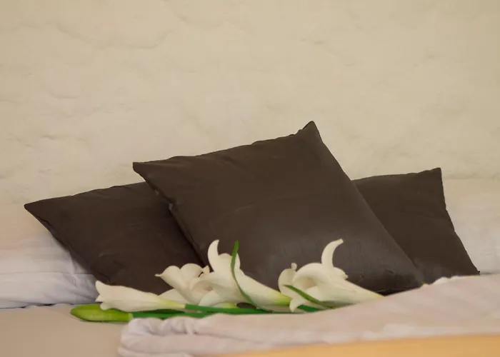 Veronika Apartman Nin